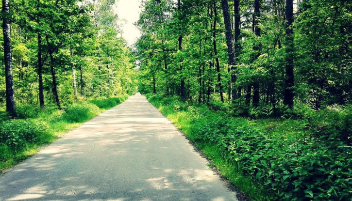 Działka Sprzedaż Nasutów 4