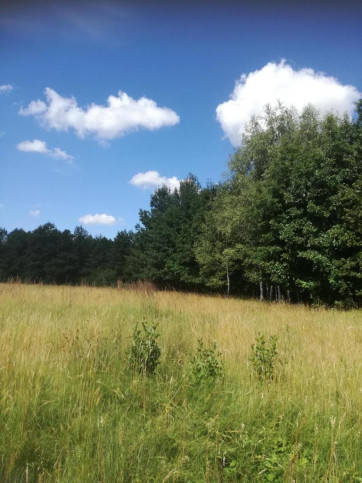 Działka Sprzedaż Garbatówka 1