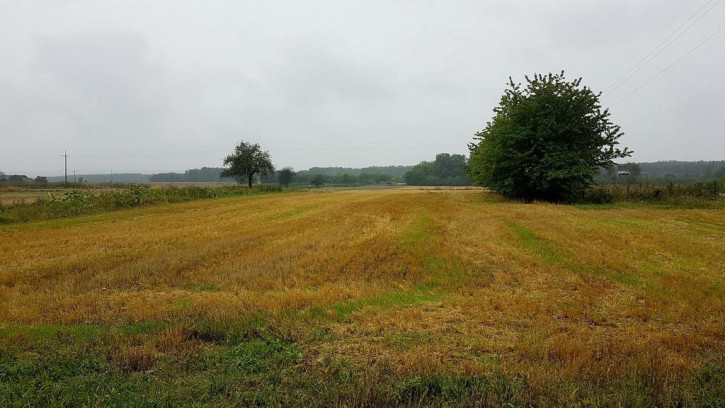 Działka Sprzedaż Lublin Bursaki Dłotlice 1