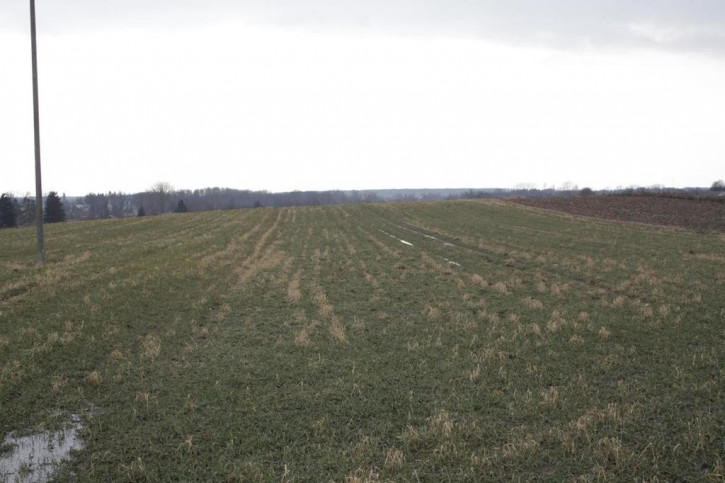 Działka Sprzedaż Tomaszowice 1