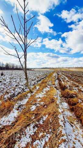 Działka Sprzedaż Płouszowice-Kolonia 2