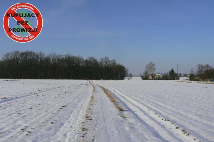 Działka Sprzedaż Krężnica Jara 1