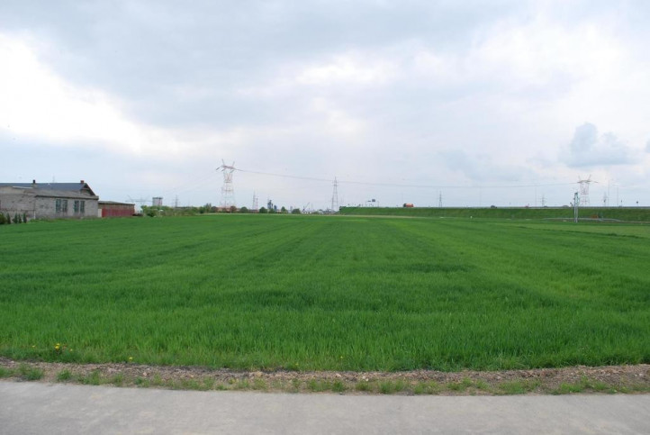 Działka Sprzedaż Świdnik 7
