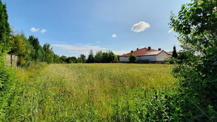 Działka Sprzedaż Dąbrowica 1