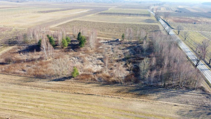 Działka Sprzedaż Karczmiska Pierwsze 1