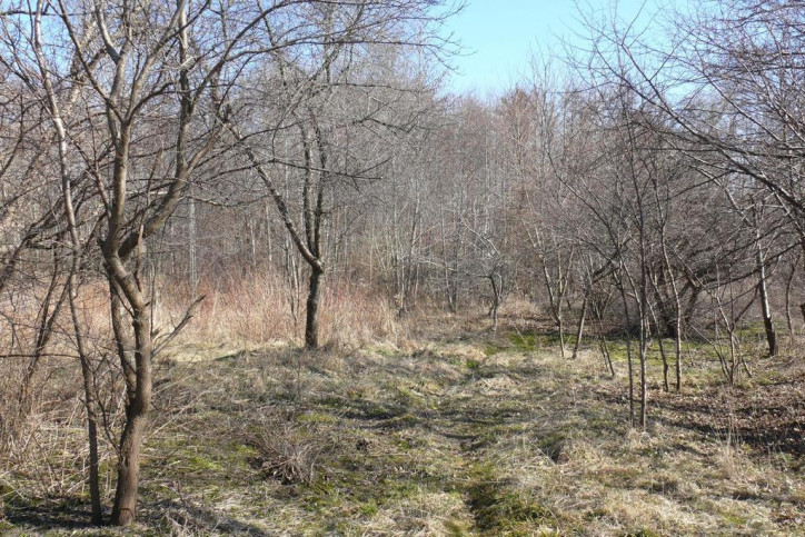 Dom Sprzedaż Jabłonna Druga 5