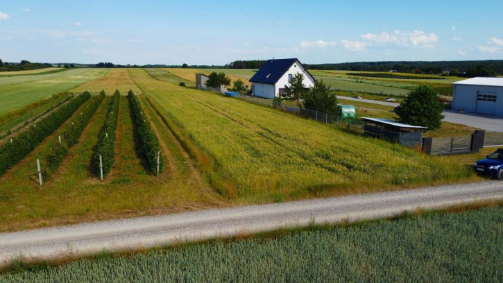 Działka Sprzedaż Borów-Kolonia 1