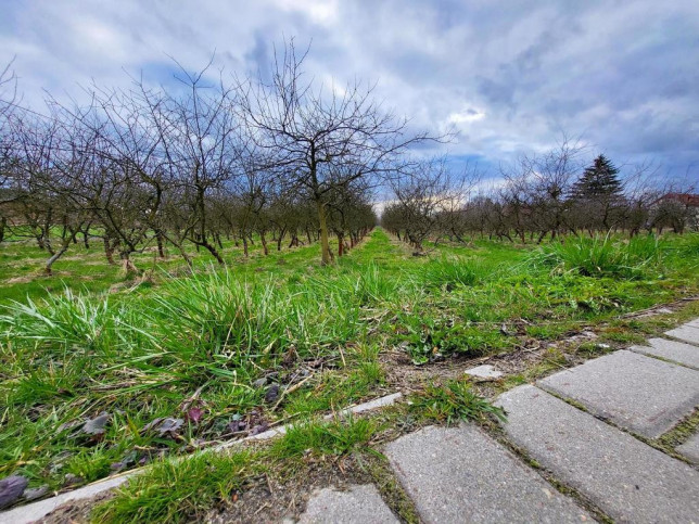 Działka Sprzedaż Motycz 1