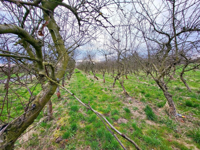 Działka Sprzedaż Motycz 2