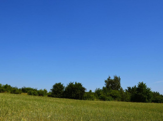 Działka Sprzedaż Snopków 8