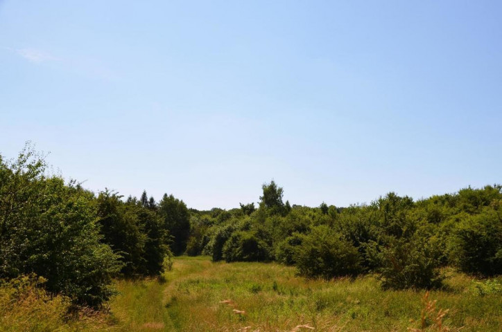 Działka Sprzedaż Snopków 10