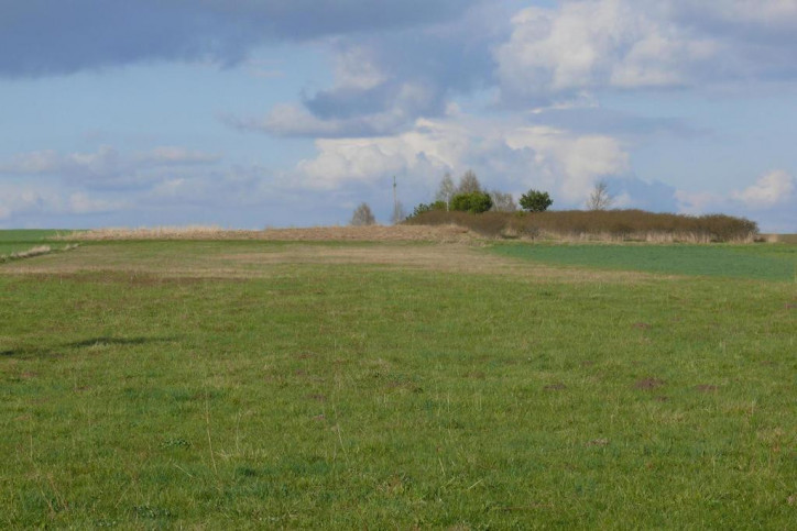 Działka Sprzedaż Przytoczno 1