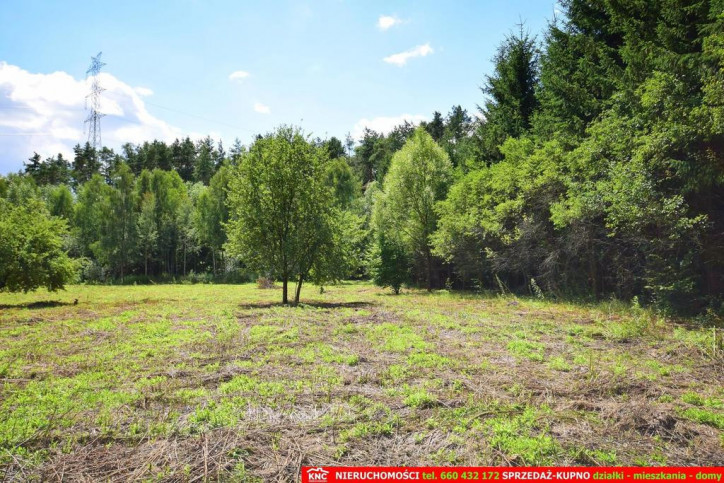 Działka Sprzedaż Pliszczyn 3