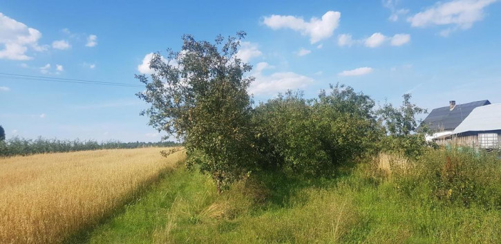 Dom Sprzedaż Zagajdzie 6
