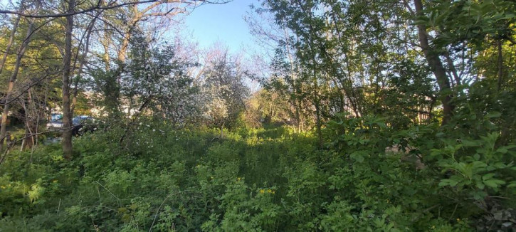 Działka Sprzedaż Turka 2