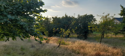 Działka Sprzedaż Lublin Głusk