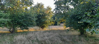 Działka Sprzedaż Lublin Głusk