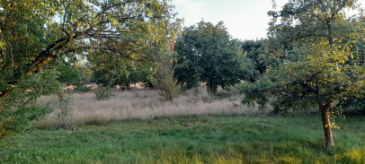 Działka Sprzedaż Lublin Głusk
