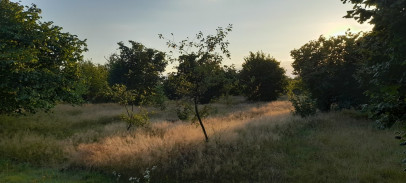 Działka Sprzedaż Lublin Głusk