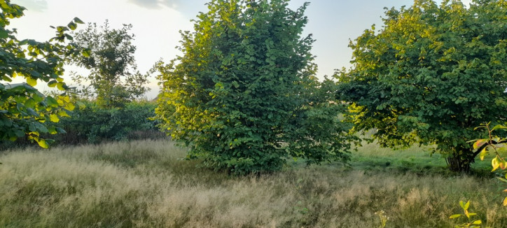 Działka Sprzedaż Lublin Głusk 8