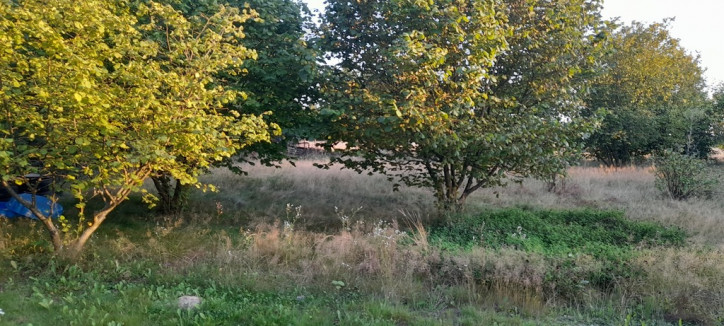 Działka Sprzedaż Lublin Głusk 10