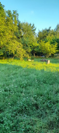 Działka Sprzedaż Lublin Głusk
