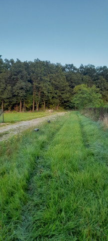 Działka Sprzedaż Lublin Głusk 11