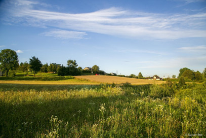 Działka Sprzedaż Siemiechów