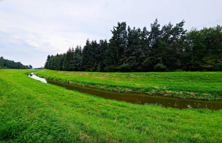 Działka Sprzedaż Dąbrowa 3