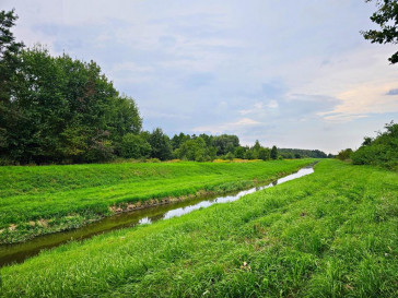 Działka Sprzedaż Dąbrowa
