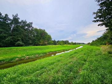 Działka Sprzedaż Dąbrowa