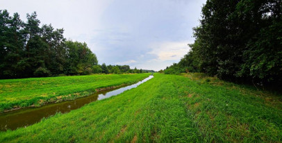 Działka Sprzedaż Dąbrowa