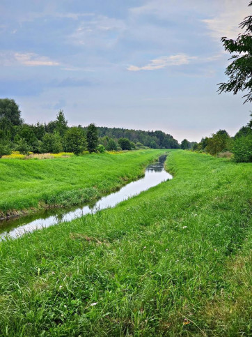 Działka Sprzedaż Dąbrowa 1