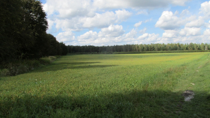 Działka Sprzedaż Lubaczów 1