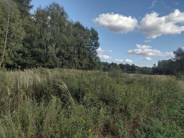 Działka Sprzedaż Makowisko 5
