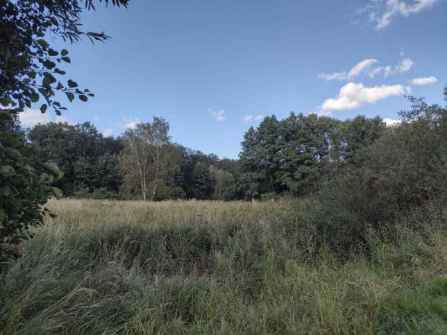 Działka Sprzedaż Makowisko 5