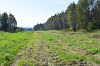 Działka Sprzedaż Bratkowice