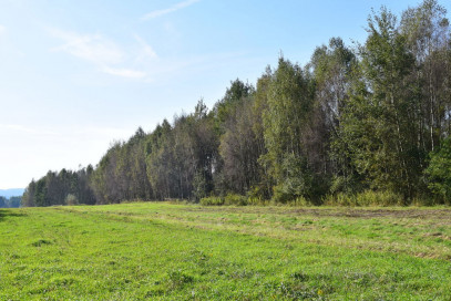 Działka Sprzedaż Bratkowice