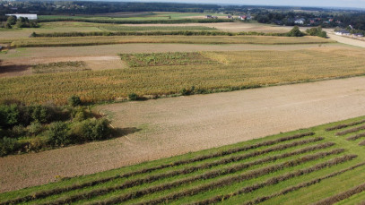 Działka Sprzedaż Motycz