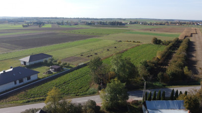 Działka Sprzedaż Krasnystaw Kościuszki