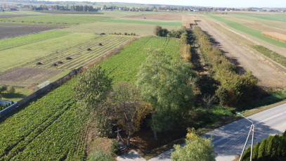 Działka Sprzedaż Krasnystaw Kościuszki