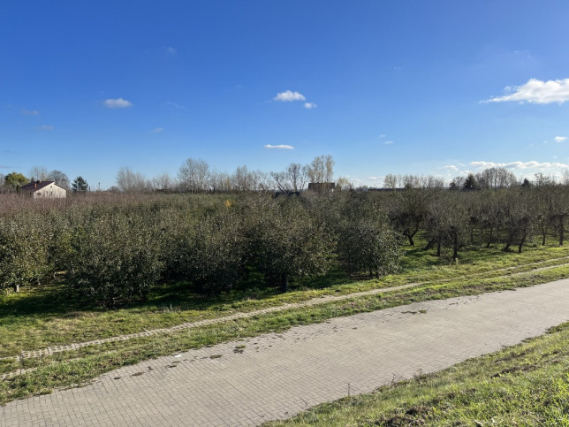 Dom Sprzedaż Zakrzów 14