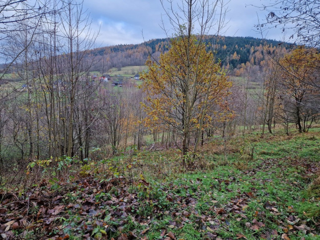 Działka Sprzedaż Stryszawa 1