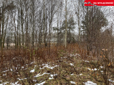 Działka Sprzedaż Leokadiów Zacisze