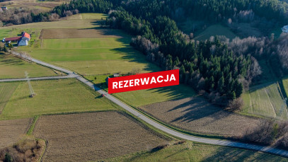 Działka Sprzedaż Rzepiennik Strzyżewski