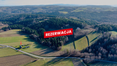 Dom Sprzedaż Rzepiennik Strzyżewski