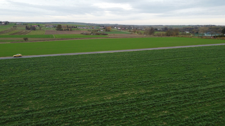 Działka Sprzedaż Zalesie 8