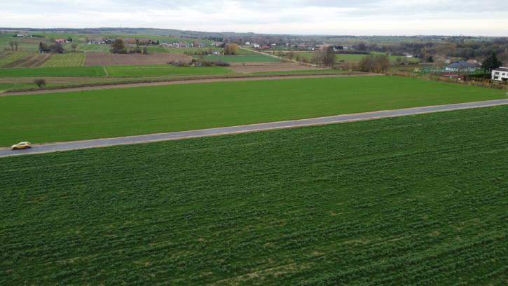 Działka Sprzedaż Zalesie 9