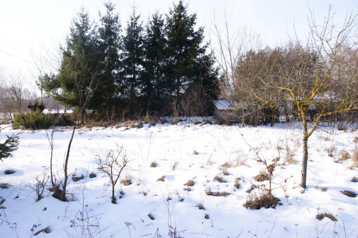 Działka Sprzedaż Gołąb 15