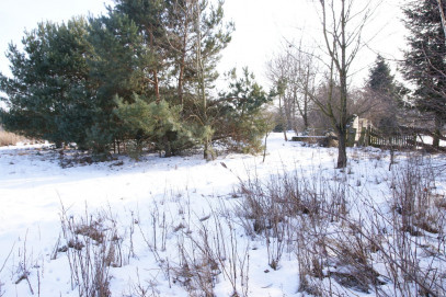 Działka Sprzedaż Gołąb